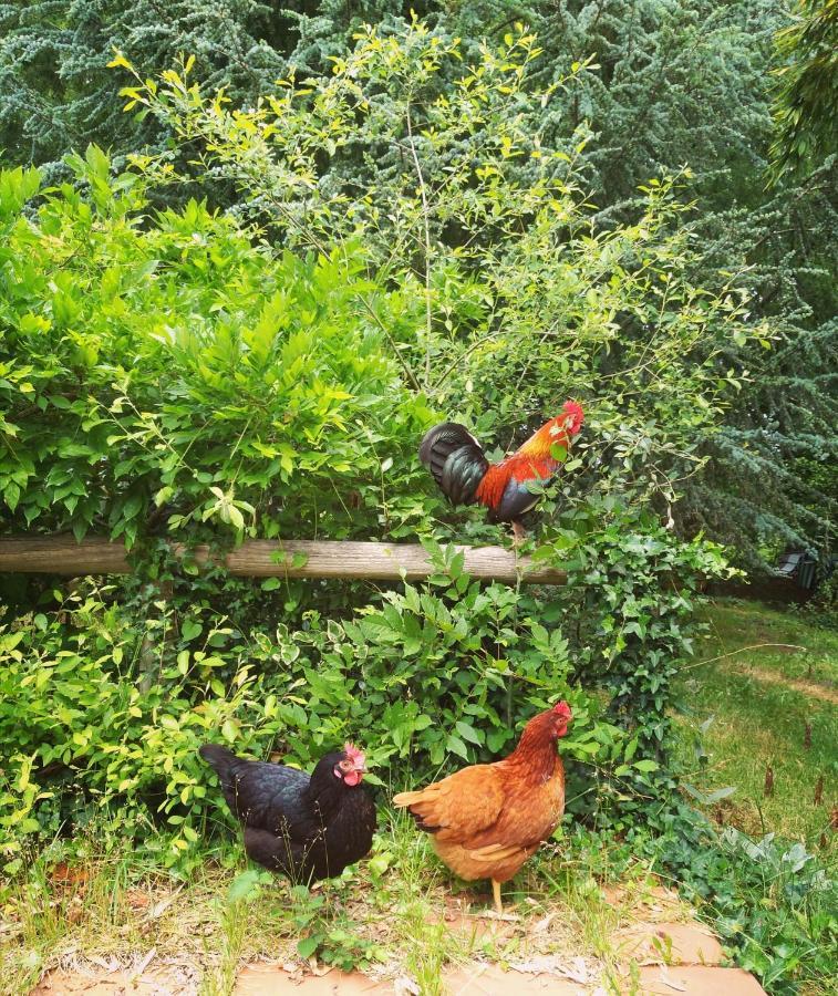 2 Coeurs 2 Landes Garrosse Exterior foto