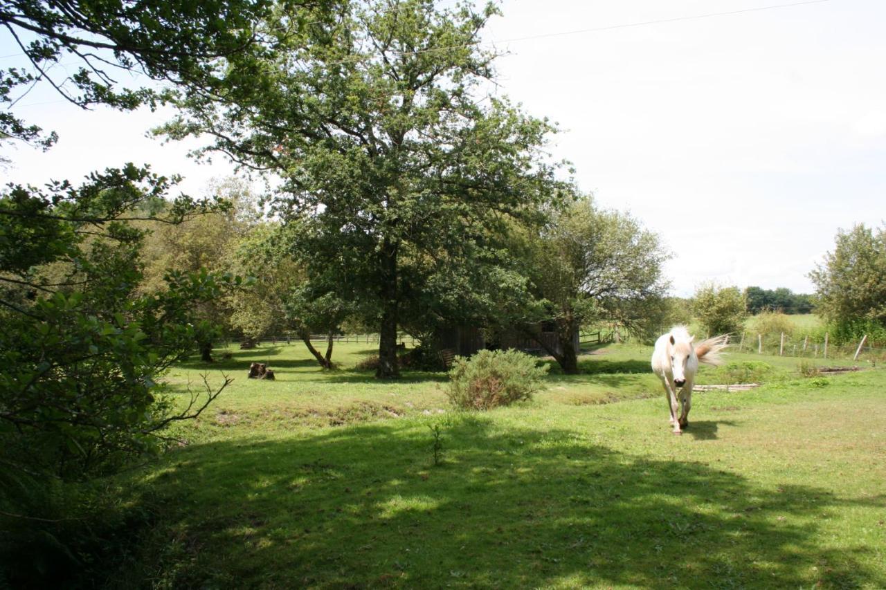 2 Coeurs 2 Landes Garrosse Exterior foto