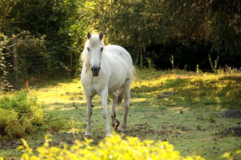 2 Coeurs 2 Landes Garrosse Exterior foto